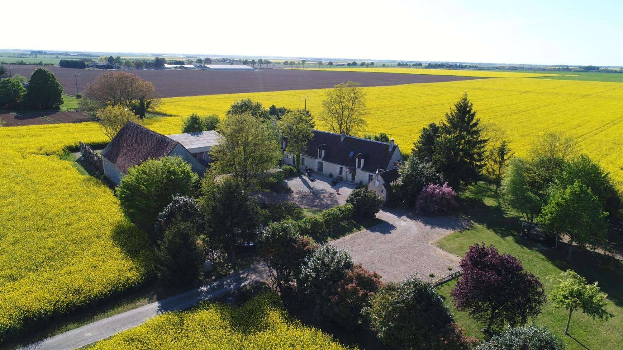 La Bihourderie Bed and Breakfast Azay-sur-Indre Εξωτερικό φωτογραφία